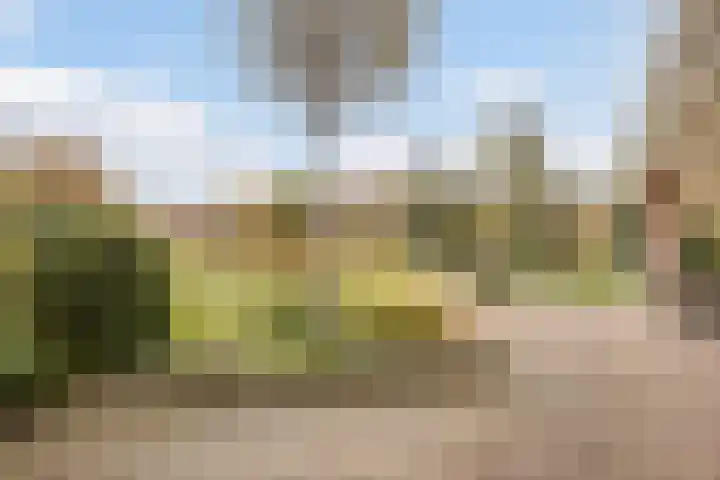 Westerveen 41 A Nieuwleusen thumbnail 74