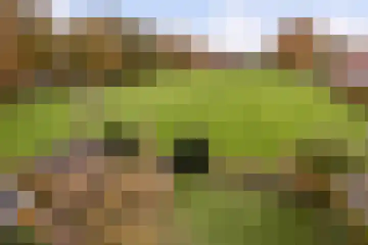Westerveen 41 A Nieuwleusen thumbnail 76