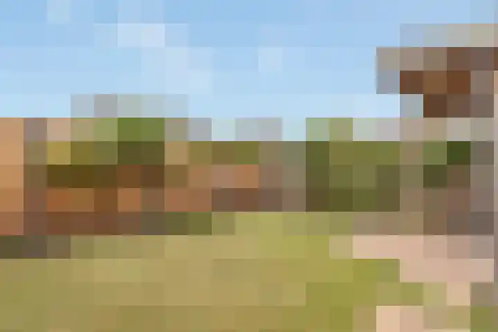 Westerveenstraat 2 a Nijkerkerveen thumbnail 29