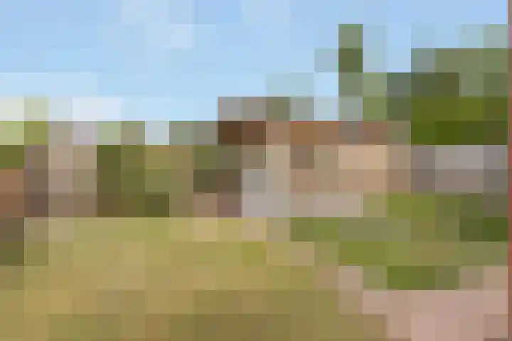 Westerveenstraat 2 a Nijkerkerveen thumbnail 32