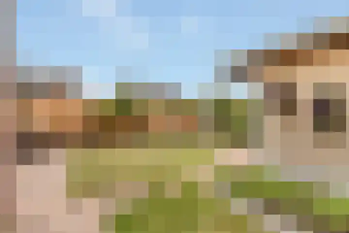 Westerveenstraat 2 a Nijkerkerveen thumbnail 4