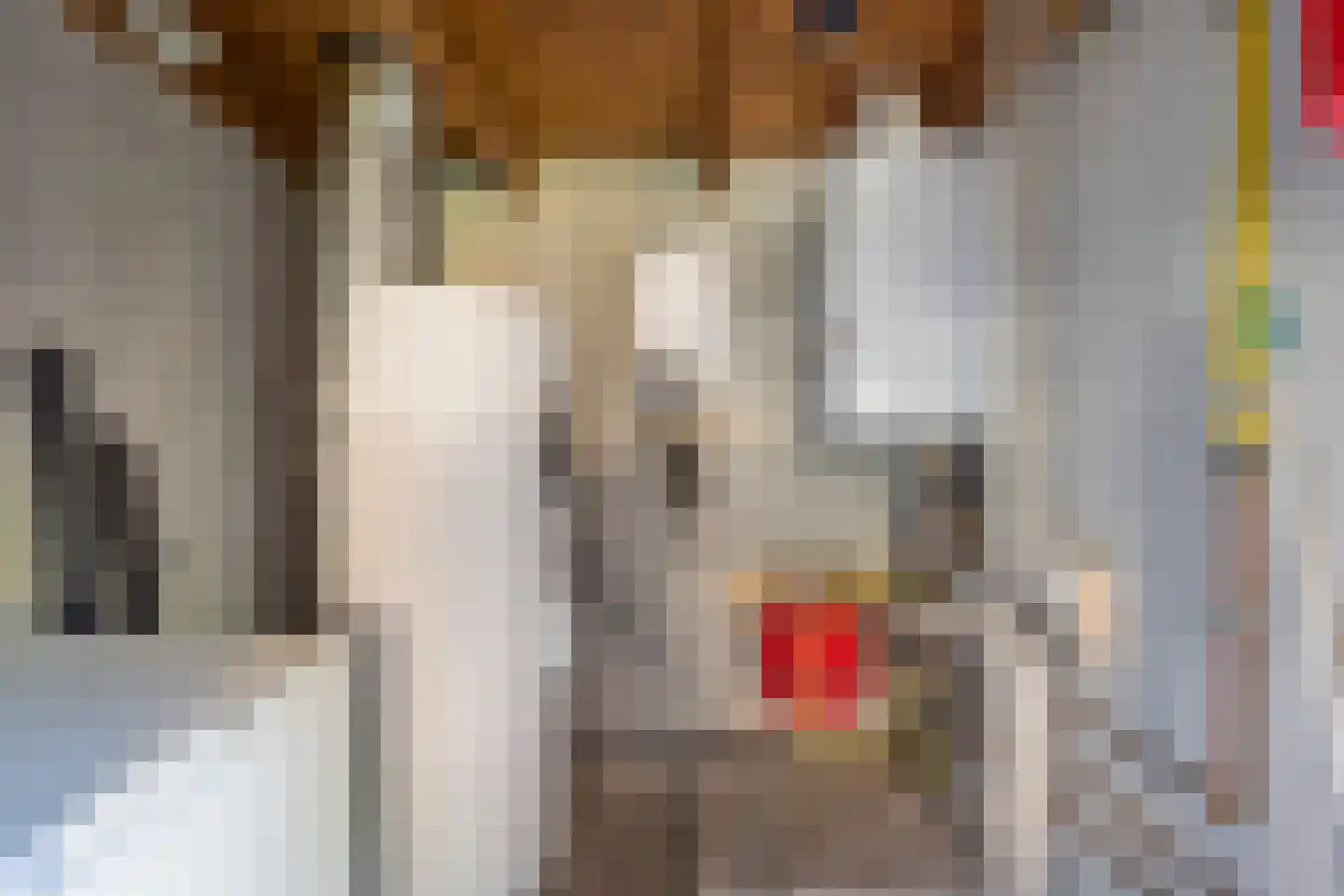Westerveenstraat 36 Nijkerkerveen thumbnail 41
