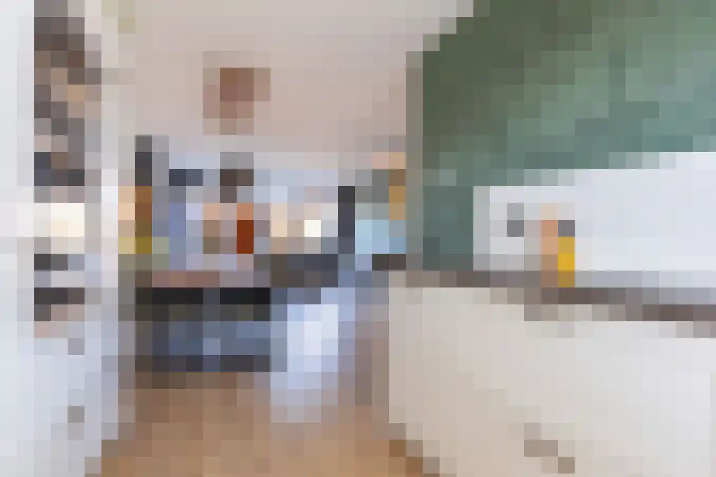 Westerveer 12 Zwaag thumbnail 17