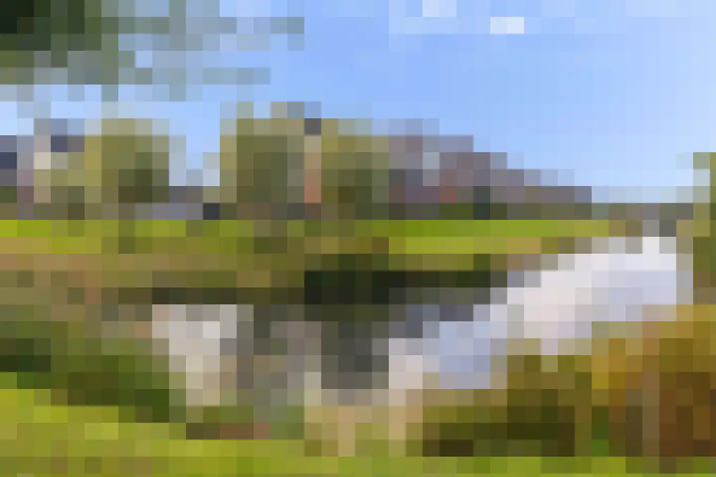 Westerveer 12 Zwaag thumbnail 46