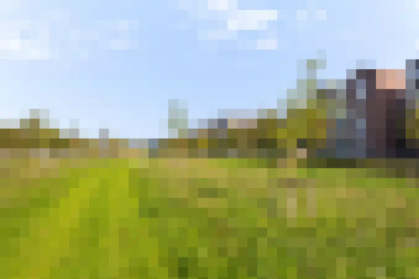 Westerveer 12 Zwaag thumbnail 49