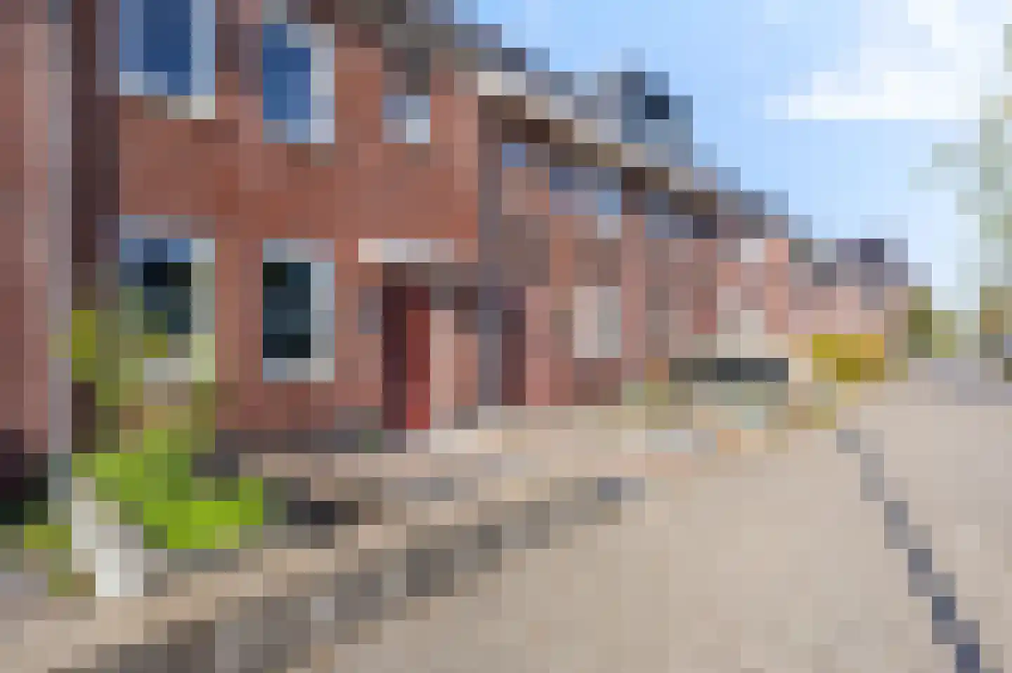 Westerveer 12 Zwaag thumbnail 6