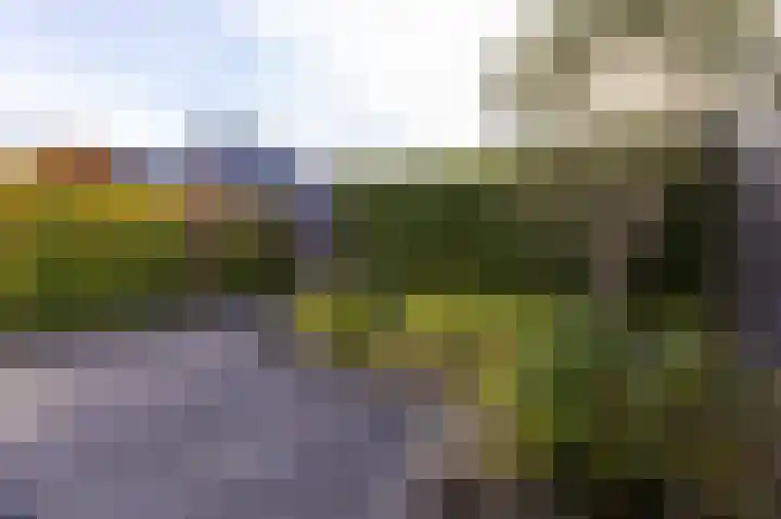 Westerveer 24 Zwaag thumbnail 35