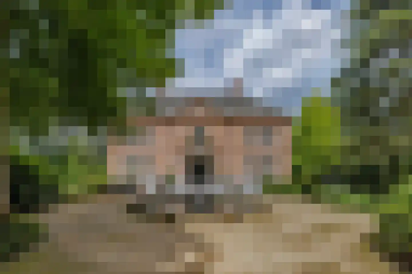 Westervelden 1 Veldhoven thumbnail 13