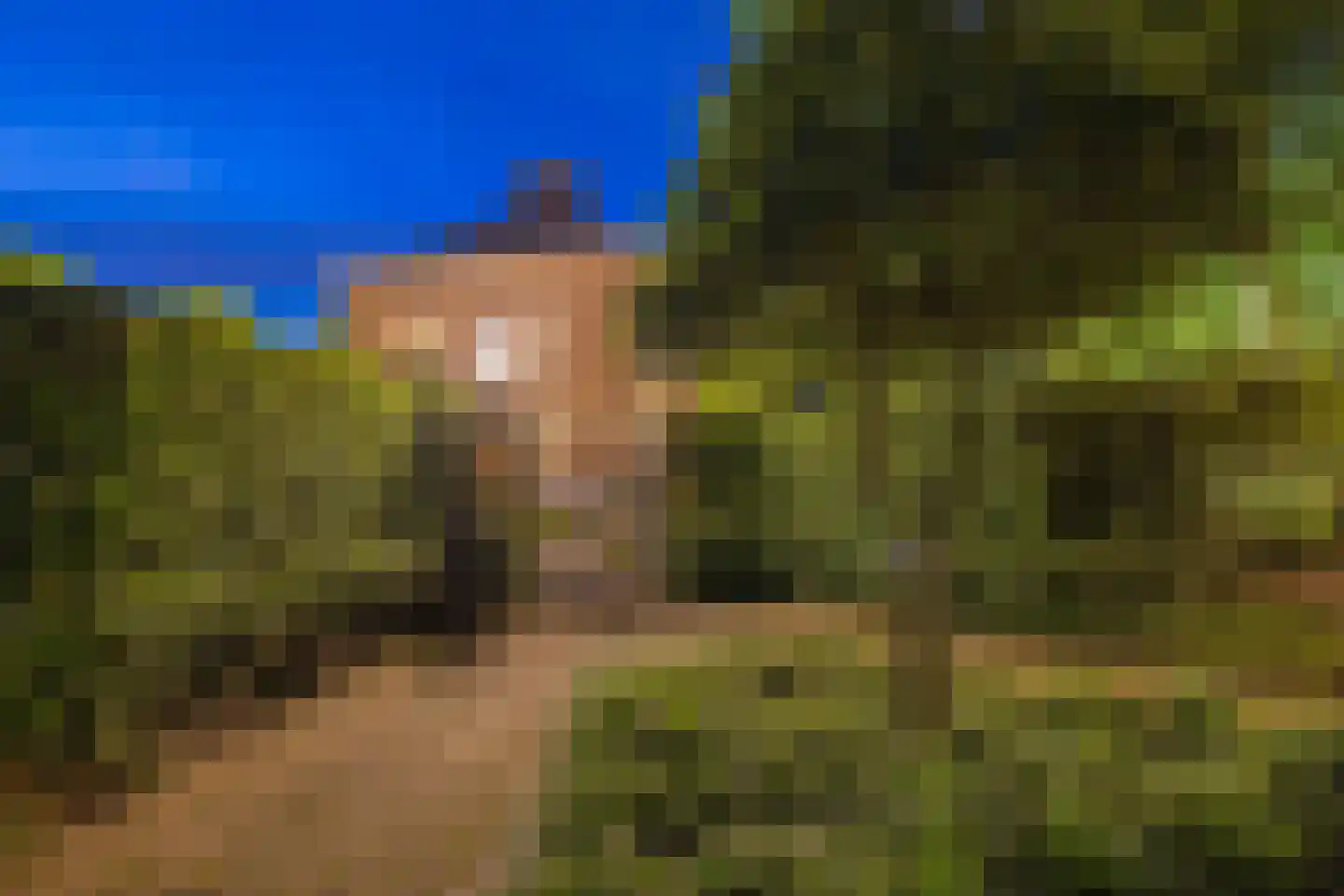 Westervelden 1 Veldhoven thumbnail 17