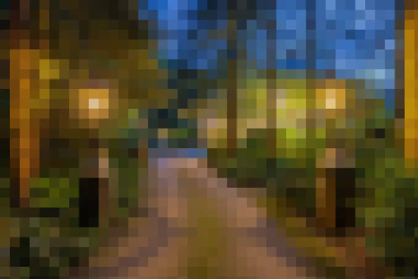 Westervelden 1 Veldhoven thumbnail 18