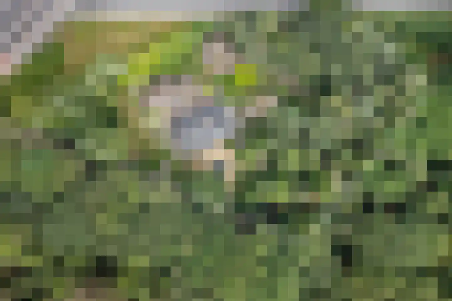 Westervelden 1 Veldhoven thumbnail 19
