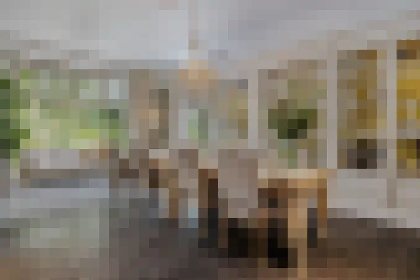 Westervelden 1 Veldhoven thumbnail 9