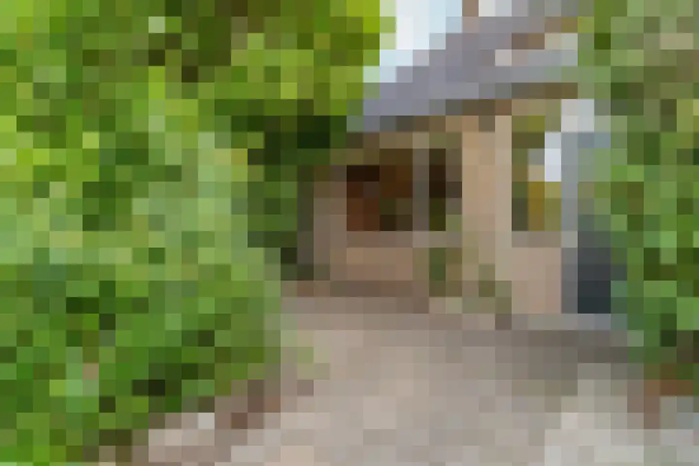 Westerveldsestraat 36 A Arnhem thumbnail 31