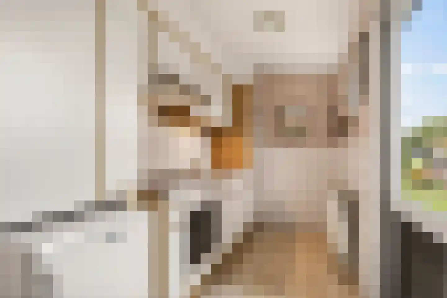 Westerveldsestraat 42 Arnhem thumbnail 8