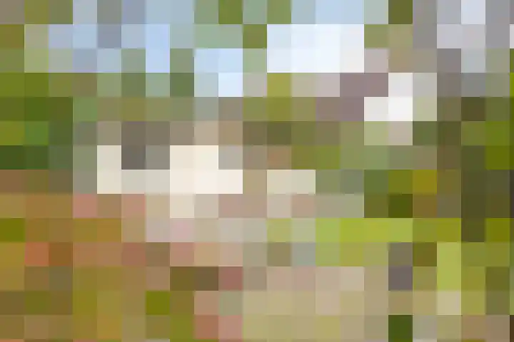 Westerveldseweg 10 Zuidwolde thumbnail 33