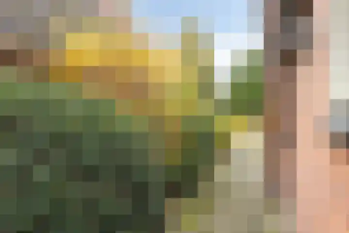 Westerveldseweg 10 Zuidwolde thumbnail 34