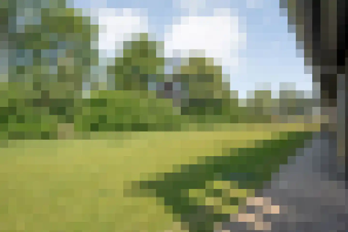 Westerveldseweg 15 b Zuidwolde thumbnail 58