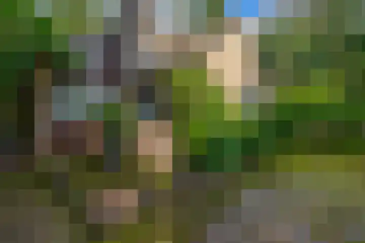 Westerveldseweg 25 Veldhoven thumbnail 31