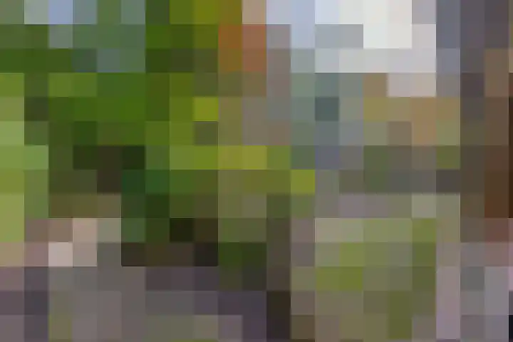Westerveldseweg 25 Veldhoven thumbnail 32