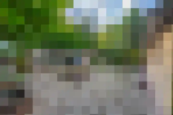 Westerveldseweg 25 Veldhoven thumbnail 33