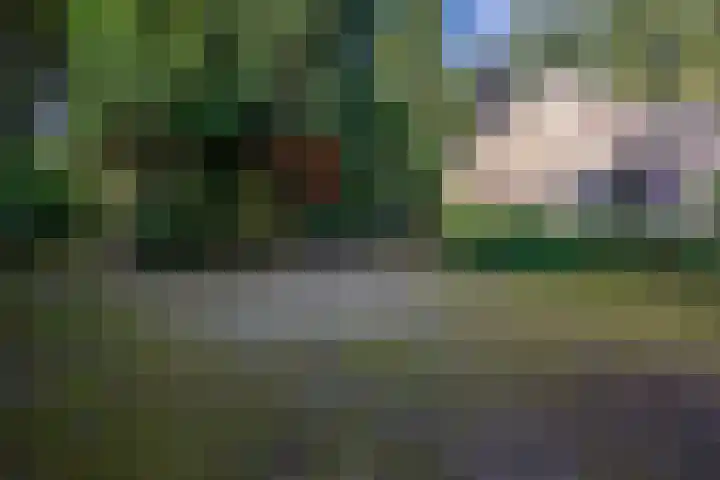 Westerveldseweg 25 Veldhoven thumbnail 35