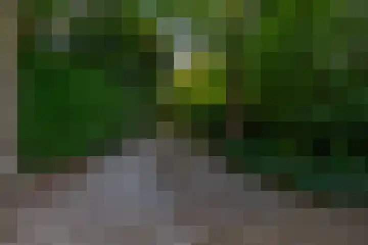 Westerveldseweg 25 Veldhoven thumbnail 36