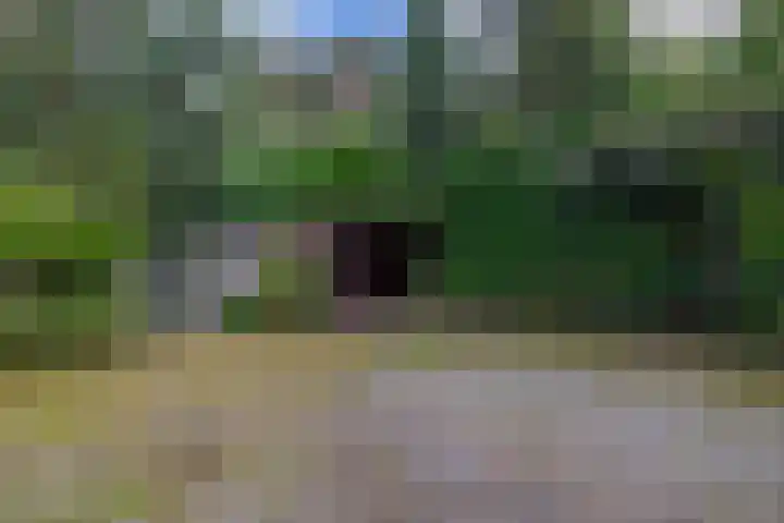 Westerveldseweg 25 Veldhoven thumbnail 37