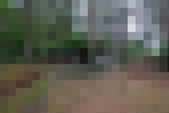 Westerveldseweg 25 Veldhoven thumbnail 39