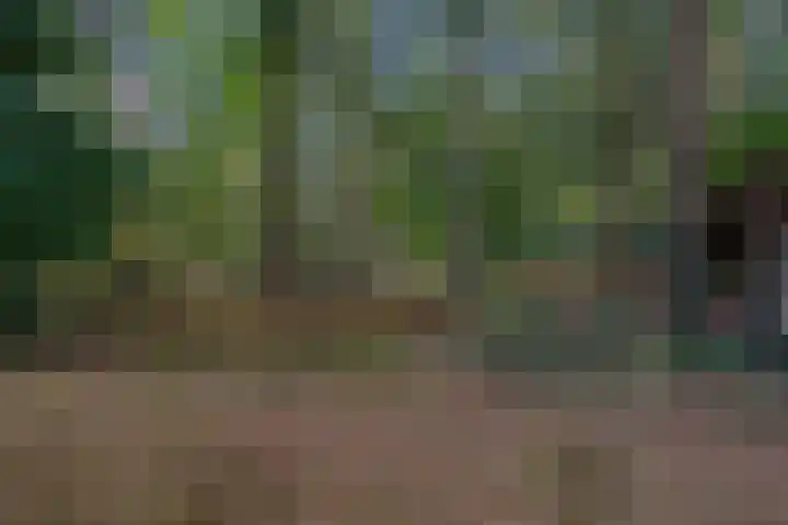 Westerveldseweg 25 Veldhoven thumbnail 42