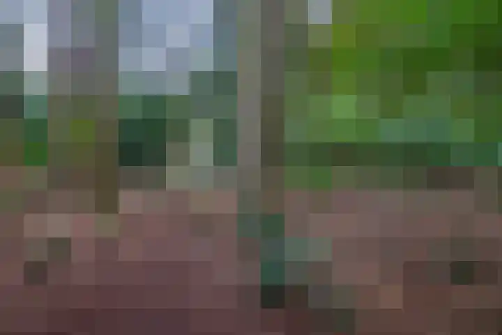 Westerveldseweg 25 Veldhoven thumbnail 45