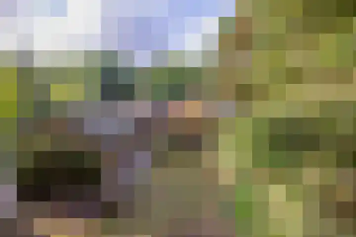 Westerveldseweg 25 Veldhoven thumbnail 47
