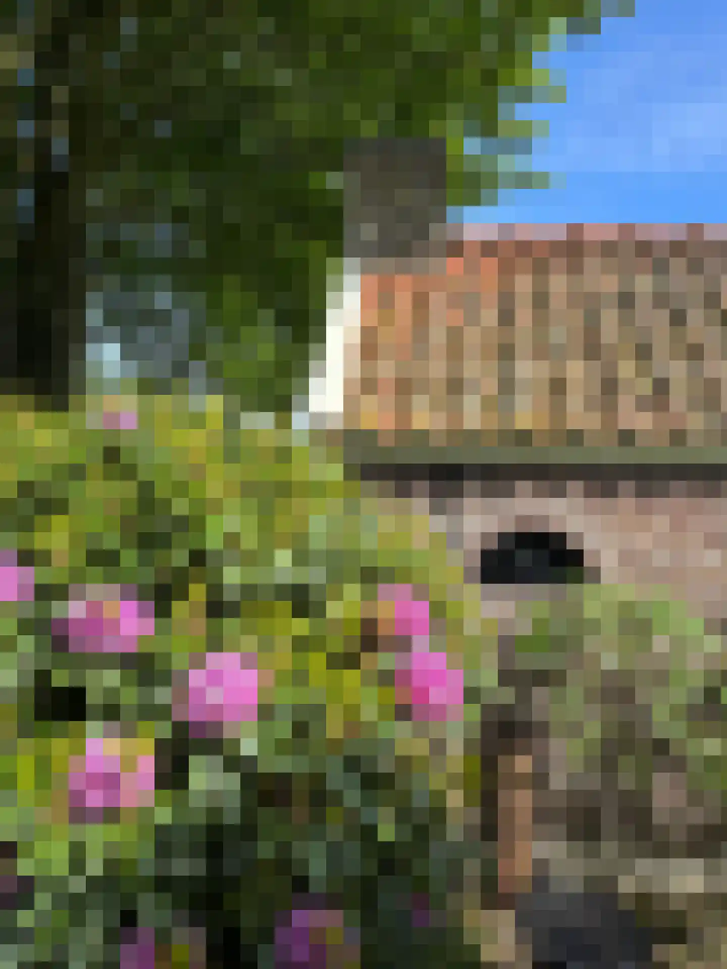 Westerveldseweg 28 Zuidwolde thumbnail 45