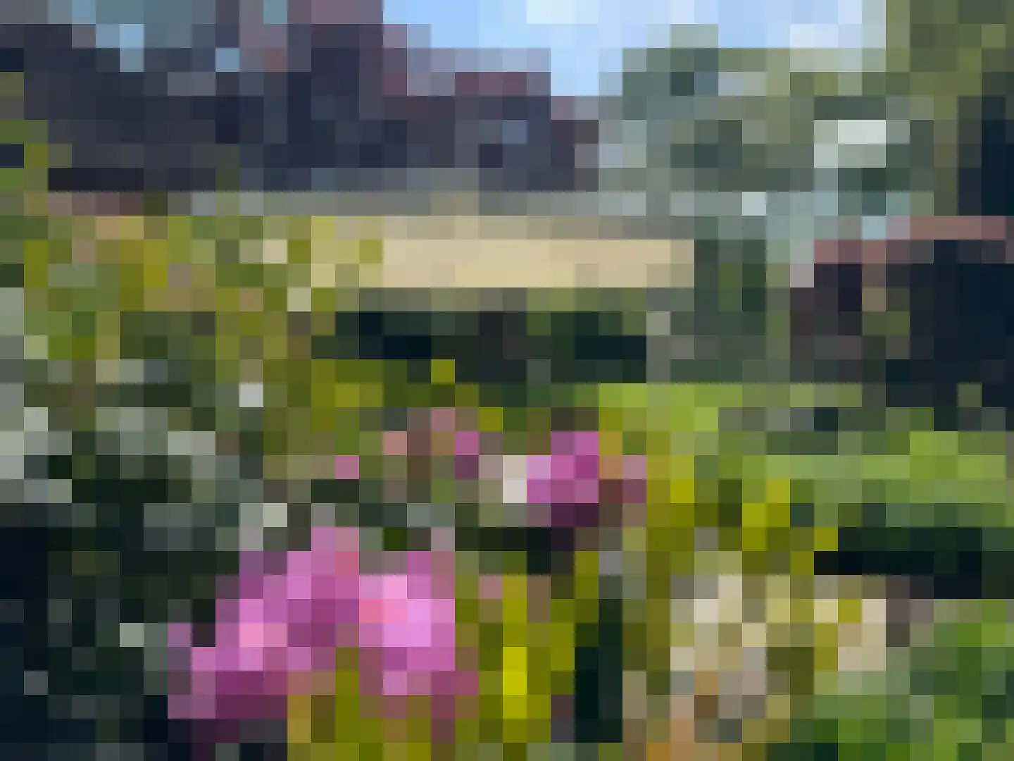 Westerveldseweg 28 Zuidwolde thumbnail 46