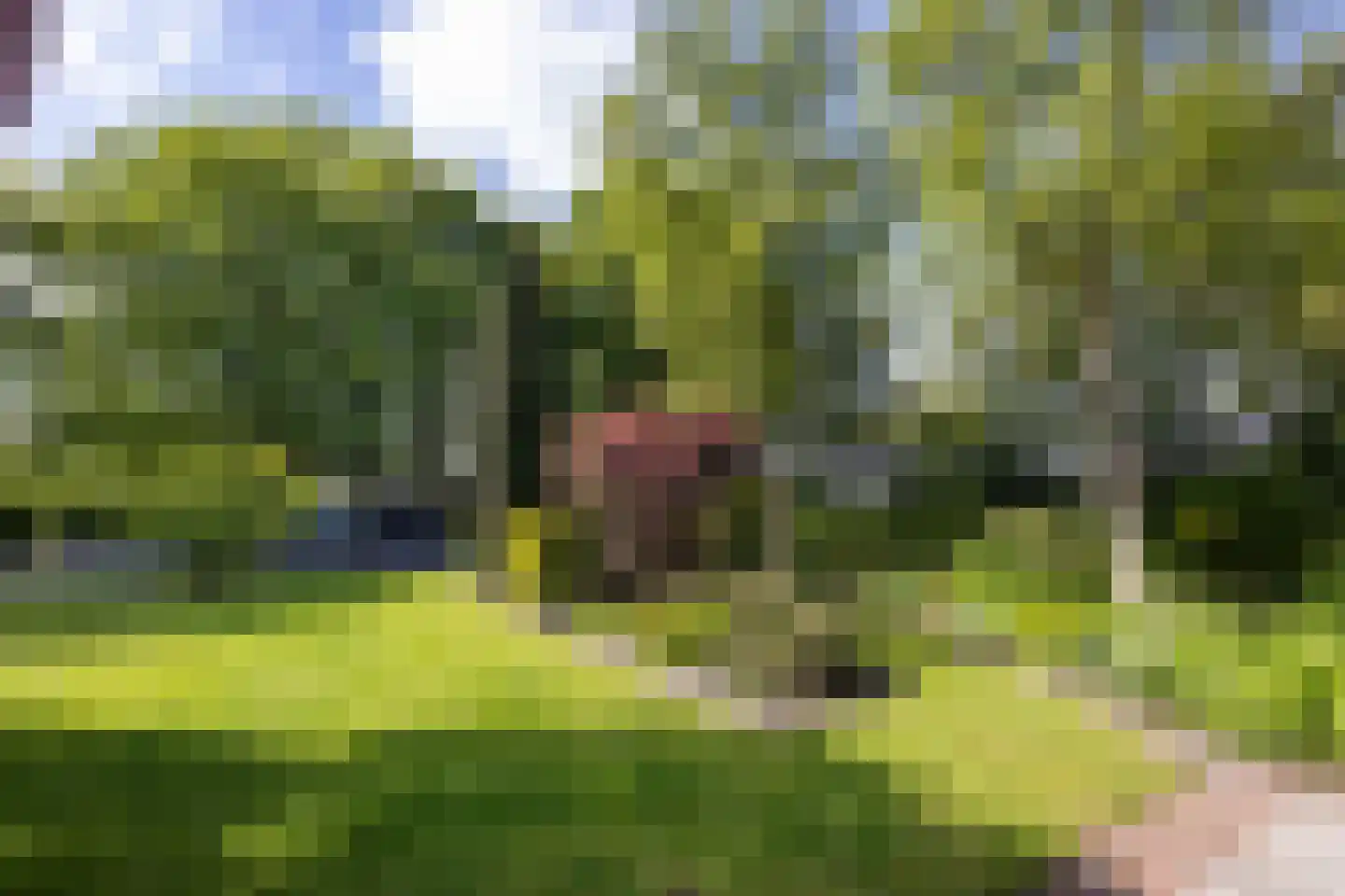 Westerveldseweg 28 Zuidwolde thumbnail 47