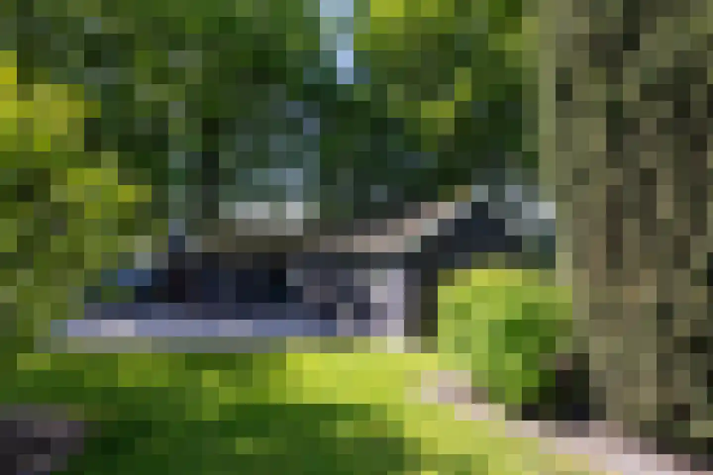 Westerveldseweg 28 Zuidwolde thumbnail 48