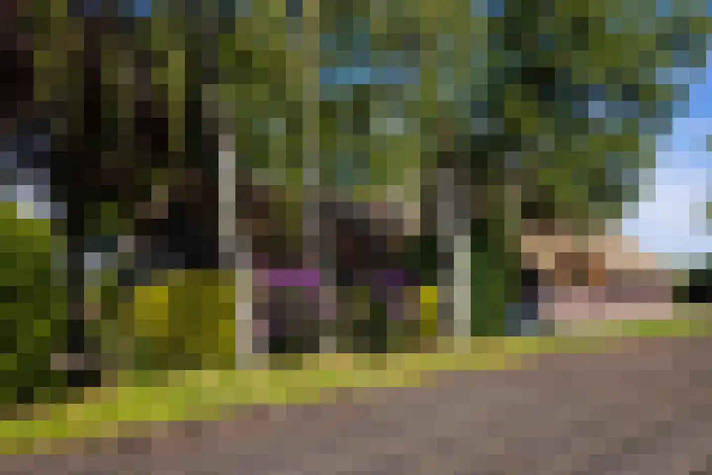 Westerveldseweg 28 Zuidwolde thumbnail 51