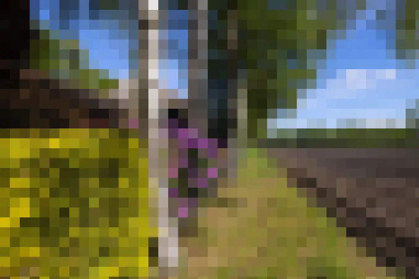 Westerveldseweg 28 Zuidwolde thumbnail 52