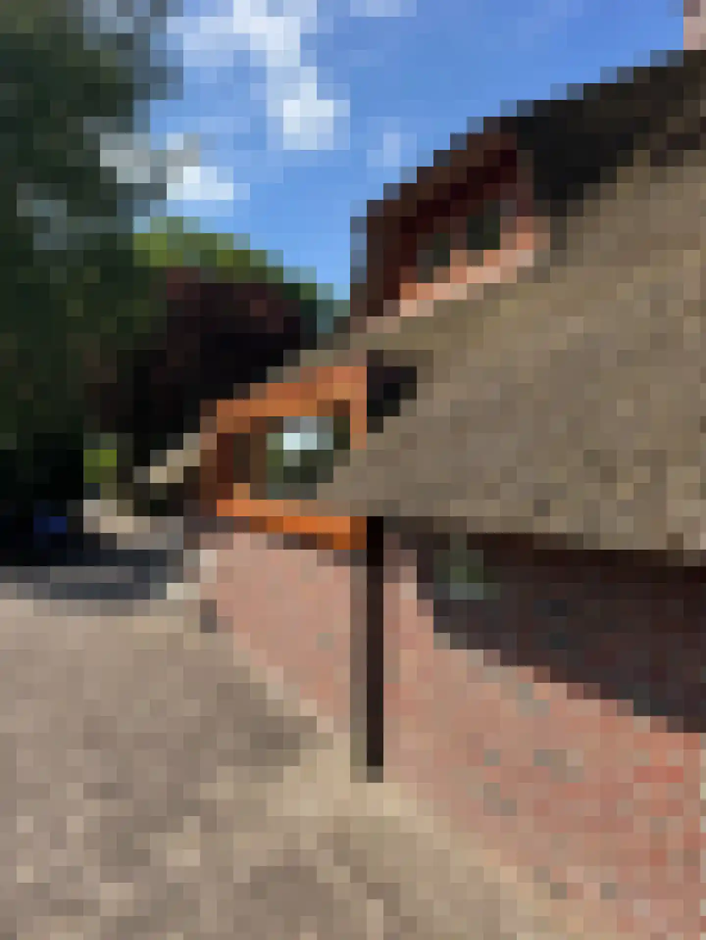 Westerveldseweg 28 Zuidwolde thumbnail 54