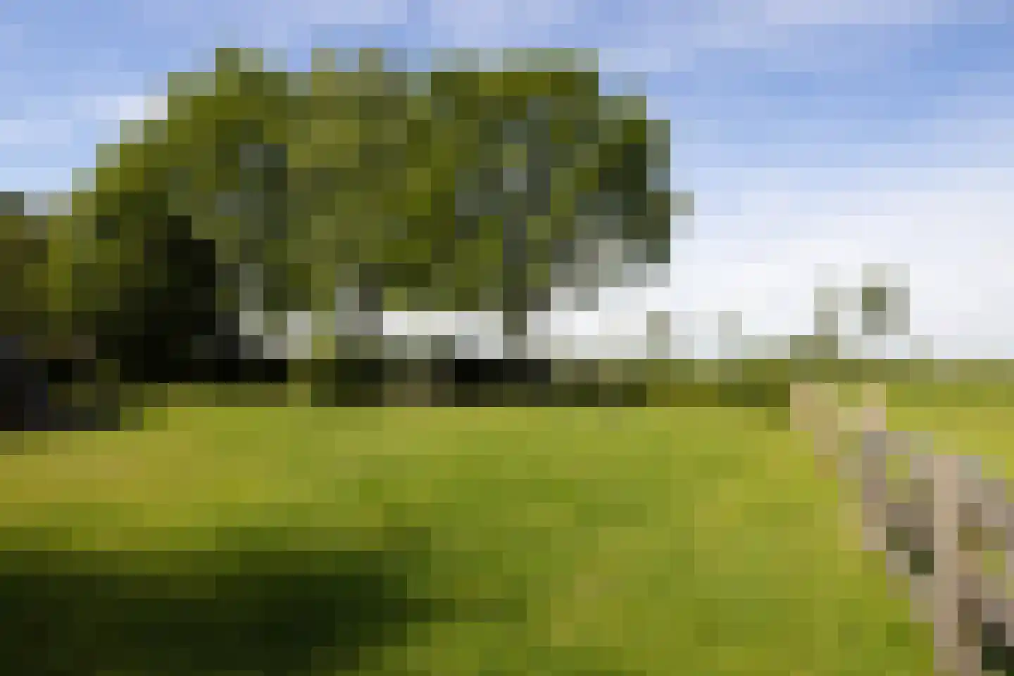 Westerveldseweg 28 Zuidwolde thumbnail 57