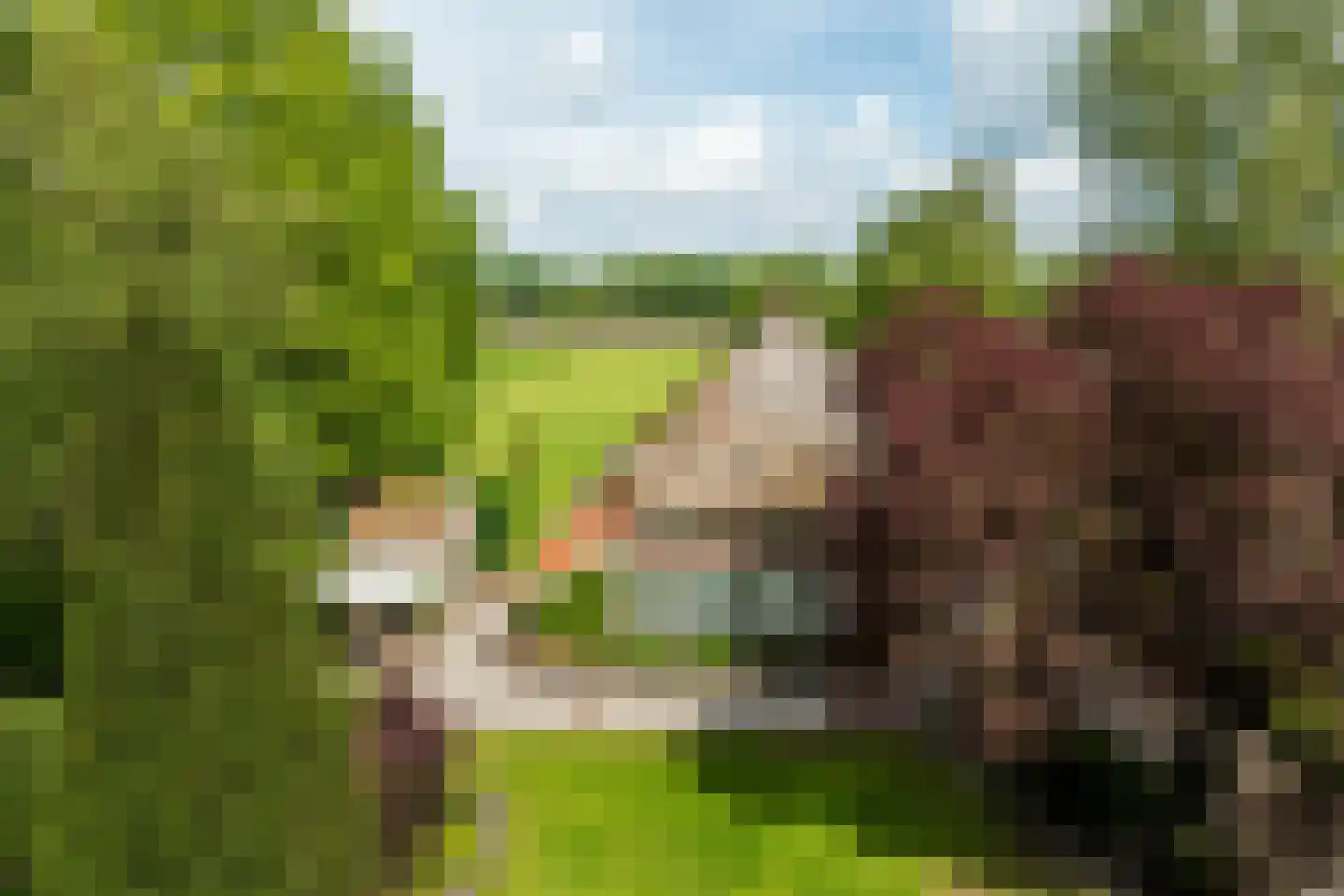 Westerveldseweg 28 Zuidwolde thumbnail 59