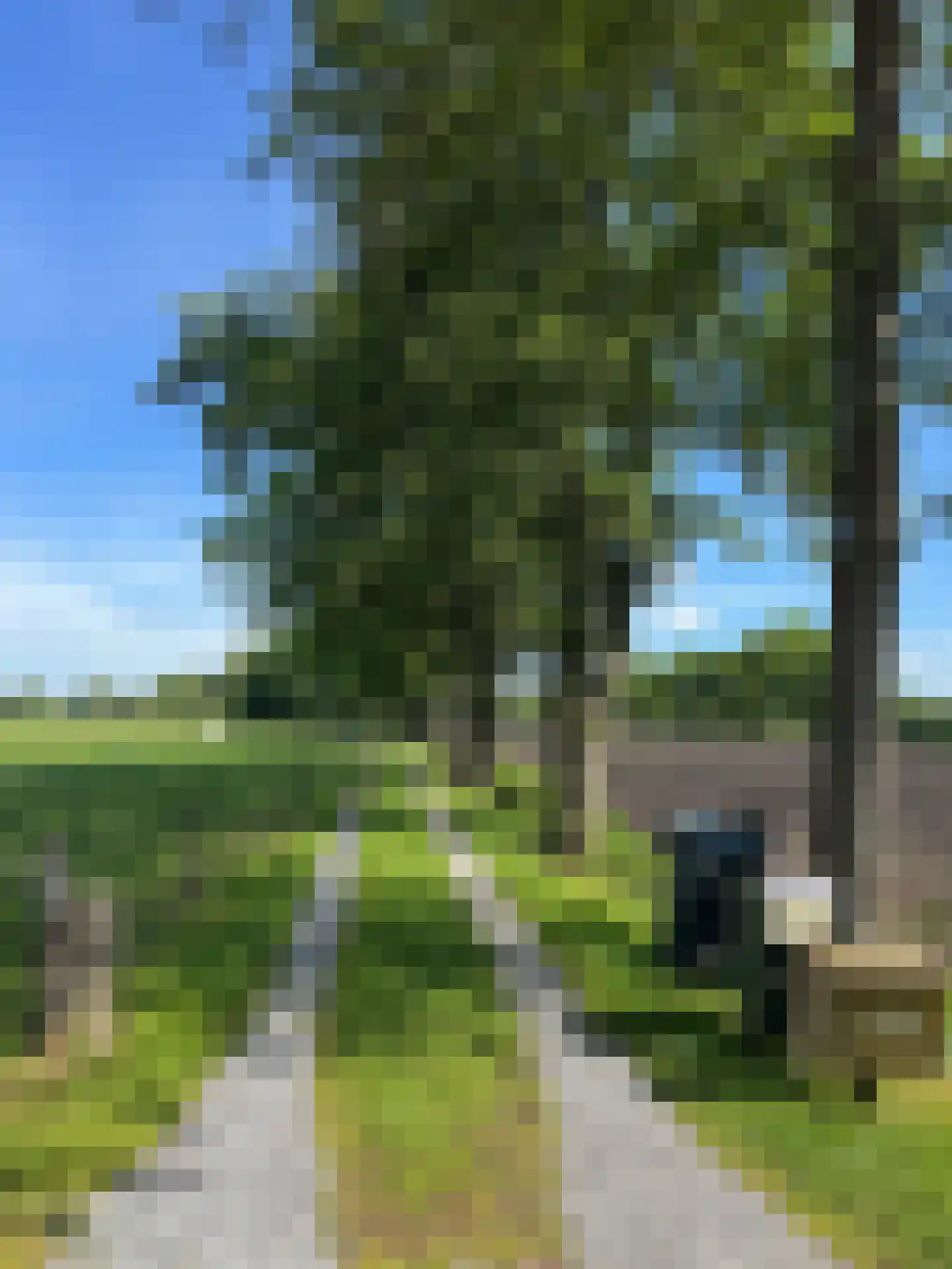 Westerveldseweg 28 Zuidwolde thumbnail 6