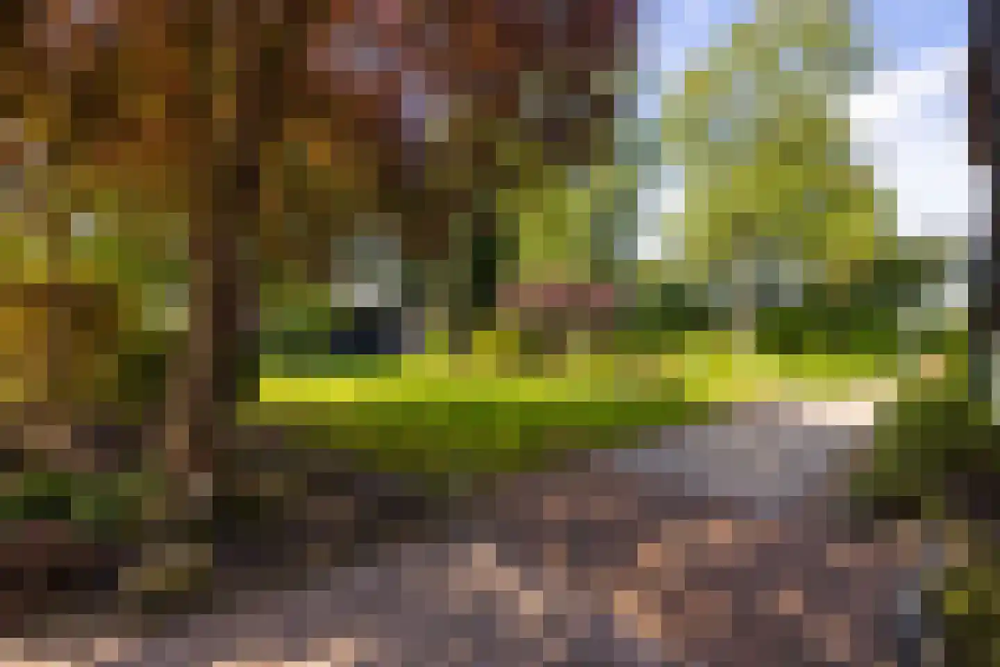 Westerveldseweg 28 Zuidwolde thumbnail 7