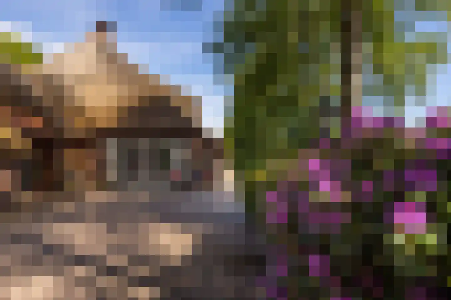 Westerveldseweg 28 Zuidwolde thumbnail 8