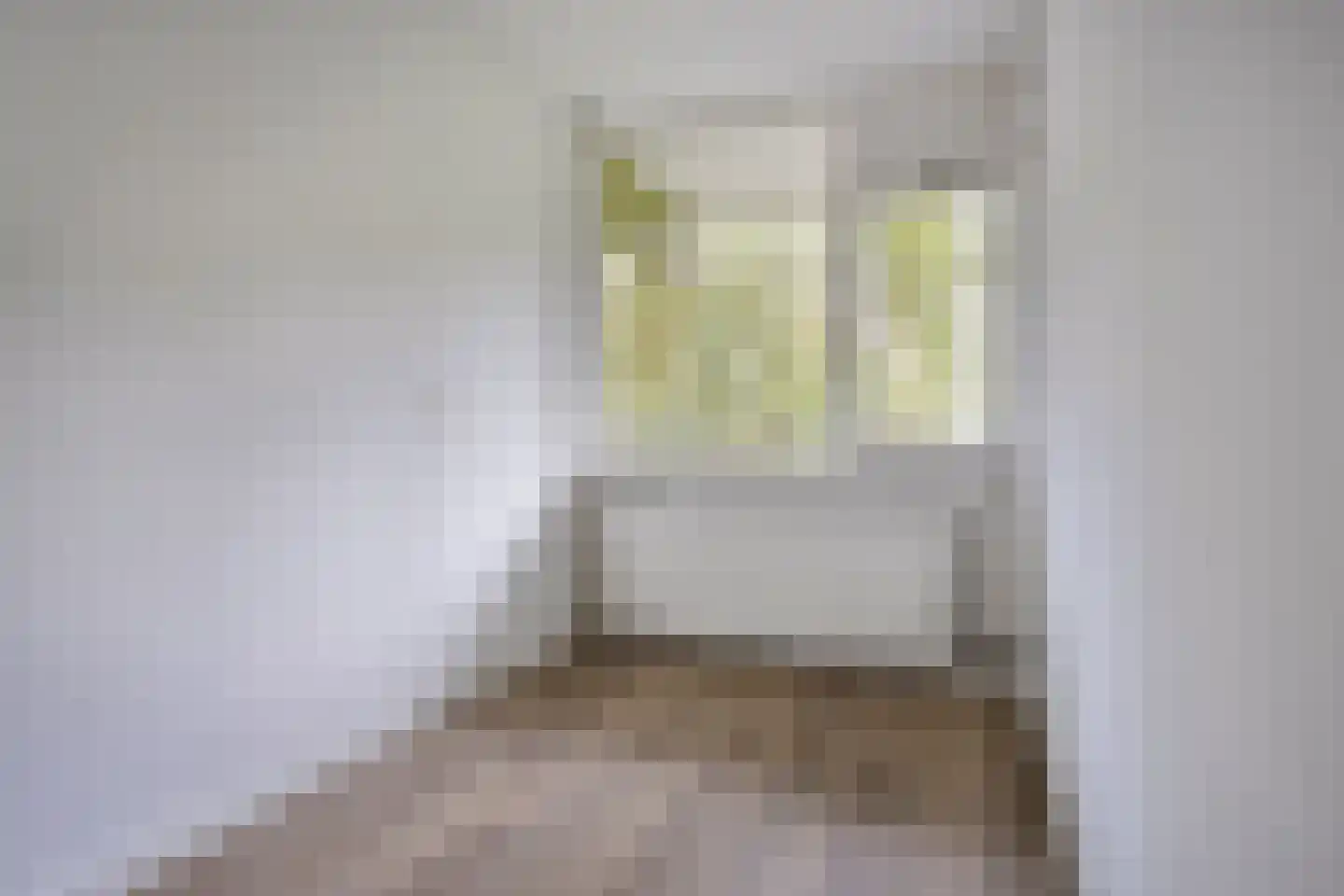 Westervenne 211 Purmerend thumbnail 19