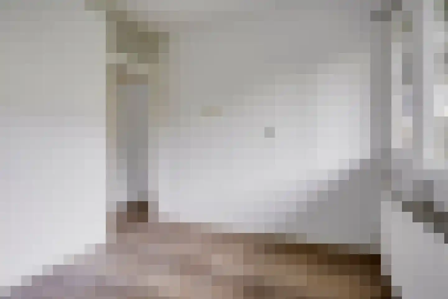 Westervenne 211 Purmerend thumbnail 24
