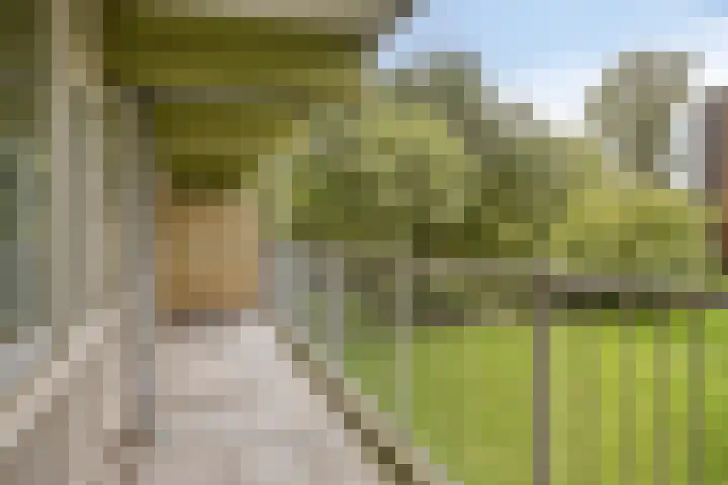 Westervenne 211 Purmerend thumbnail 27