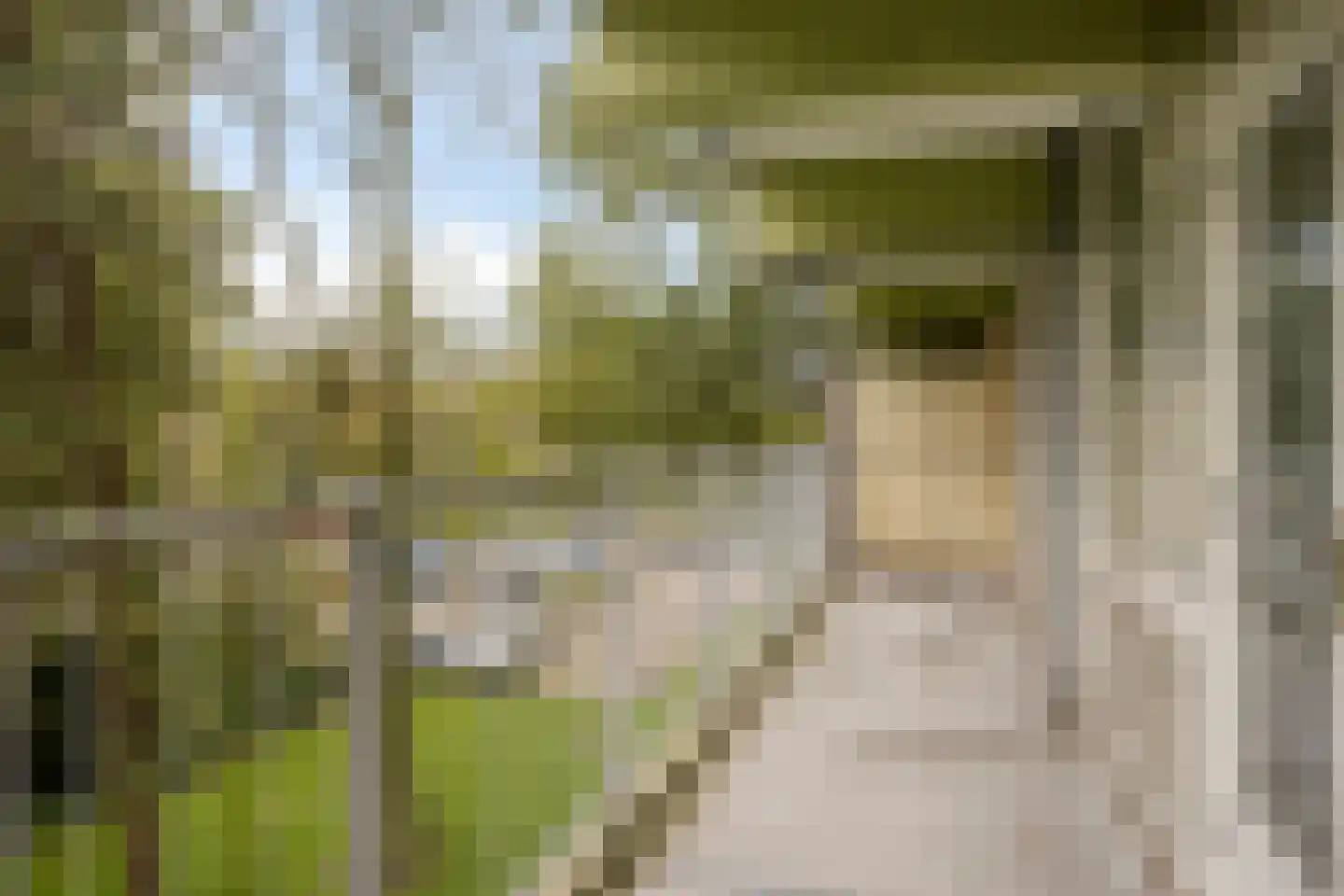 Westervenne 211 Purmerend thumbnail 28