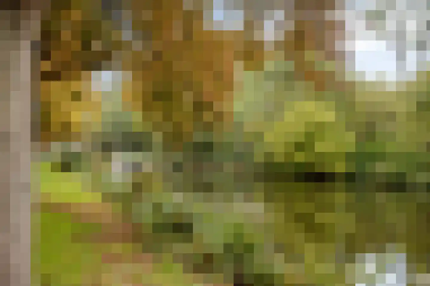 Westervenne 211 Purmerend thumbnail 36