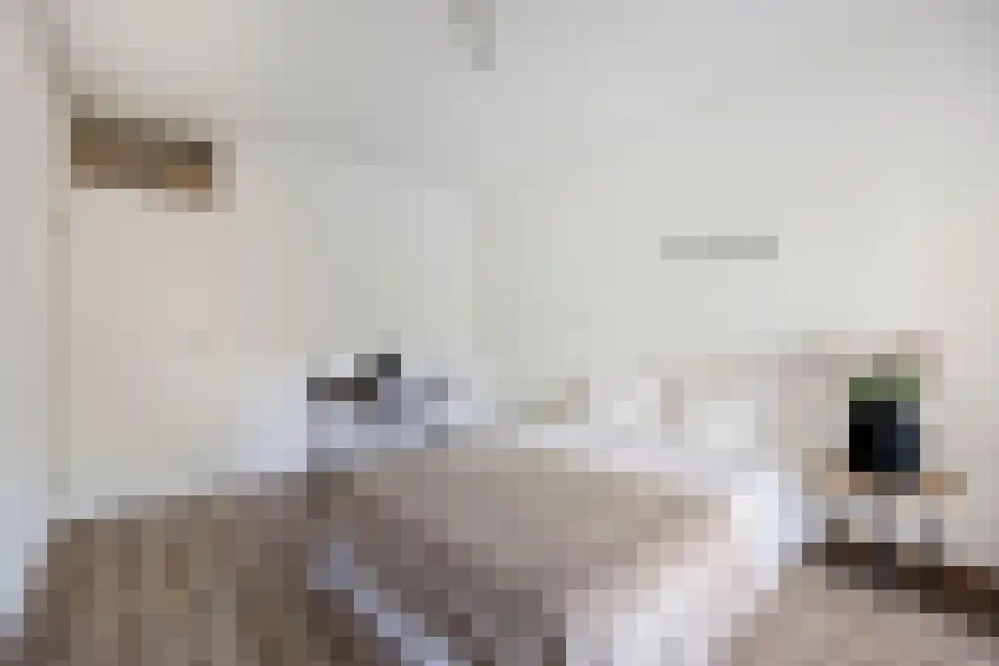 Westervenne 222 Purmerend thumbnail 10