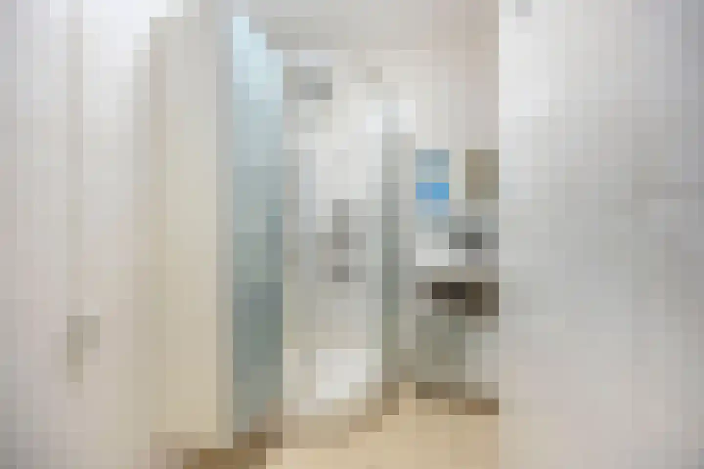 Westervenne 222 Purmerend thumbnail 15